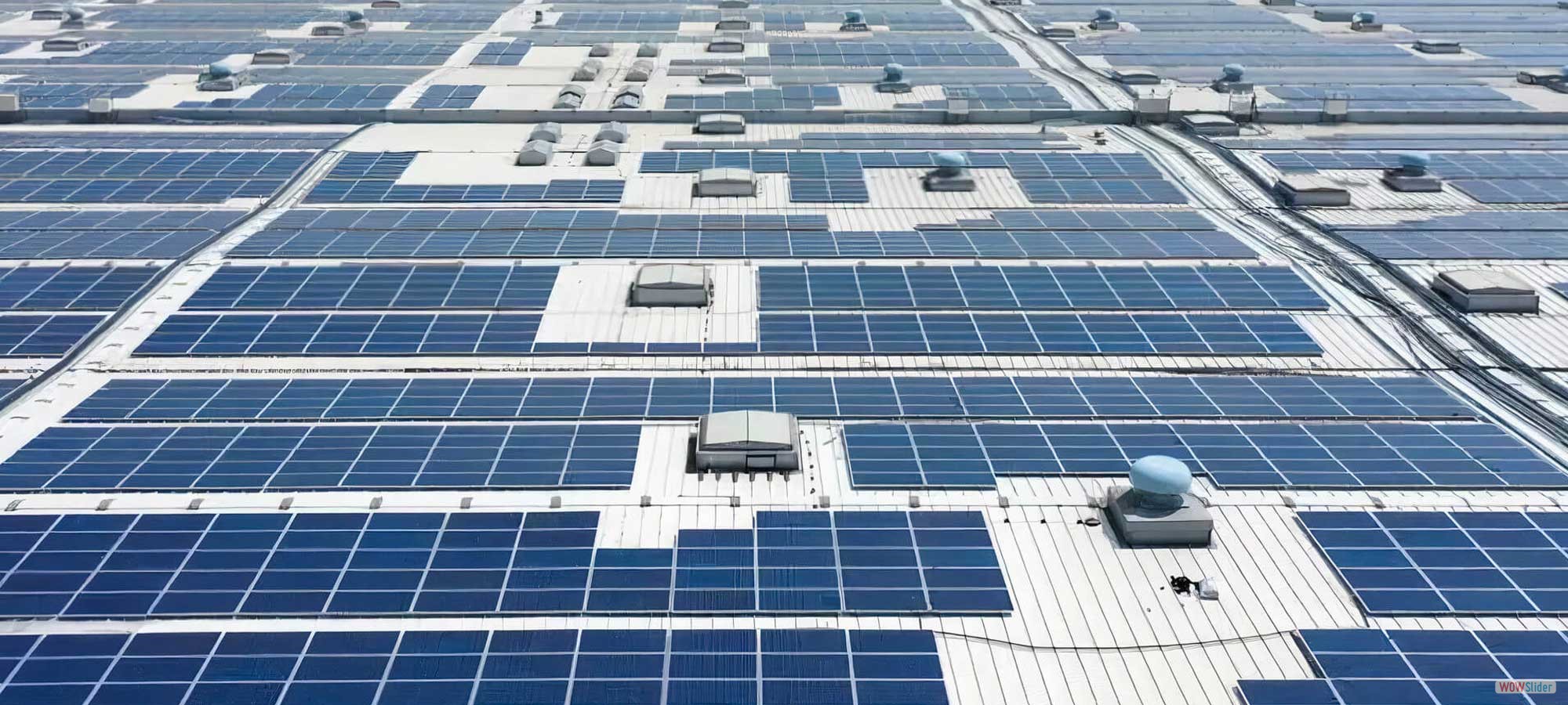 Commercial Solar Installation in Amritsar